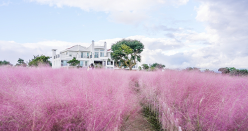 기념일 여행 코스