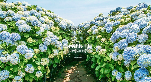 여자친구에게 칭찬받는 제주 핫플