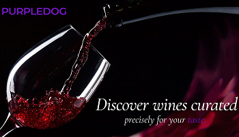 Redesign · 퍼플독